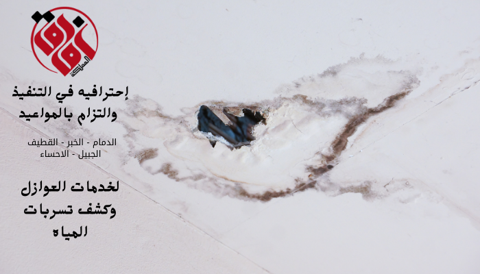 كشف التسريبات