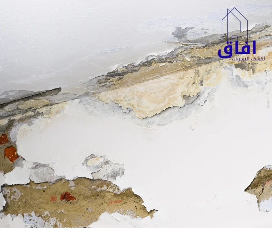 شركة كشف تسربات المياه بالهفوف